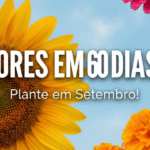 3 flores: um grande Girassol à esquerda, uma Zínia rosa no canto superior direito e uma Tagete laranja no canto inferior direito.