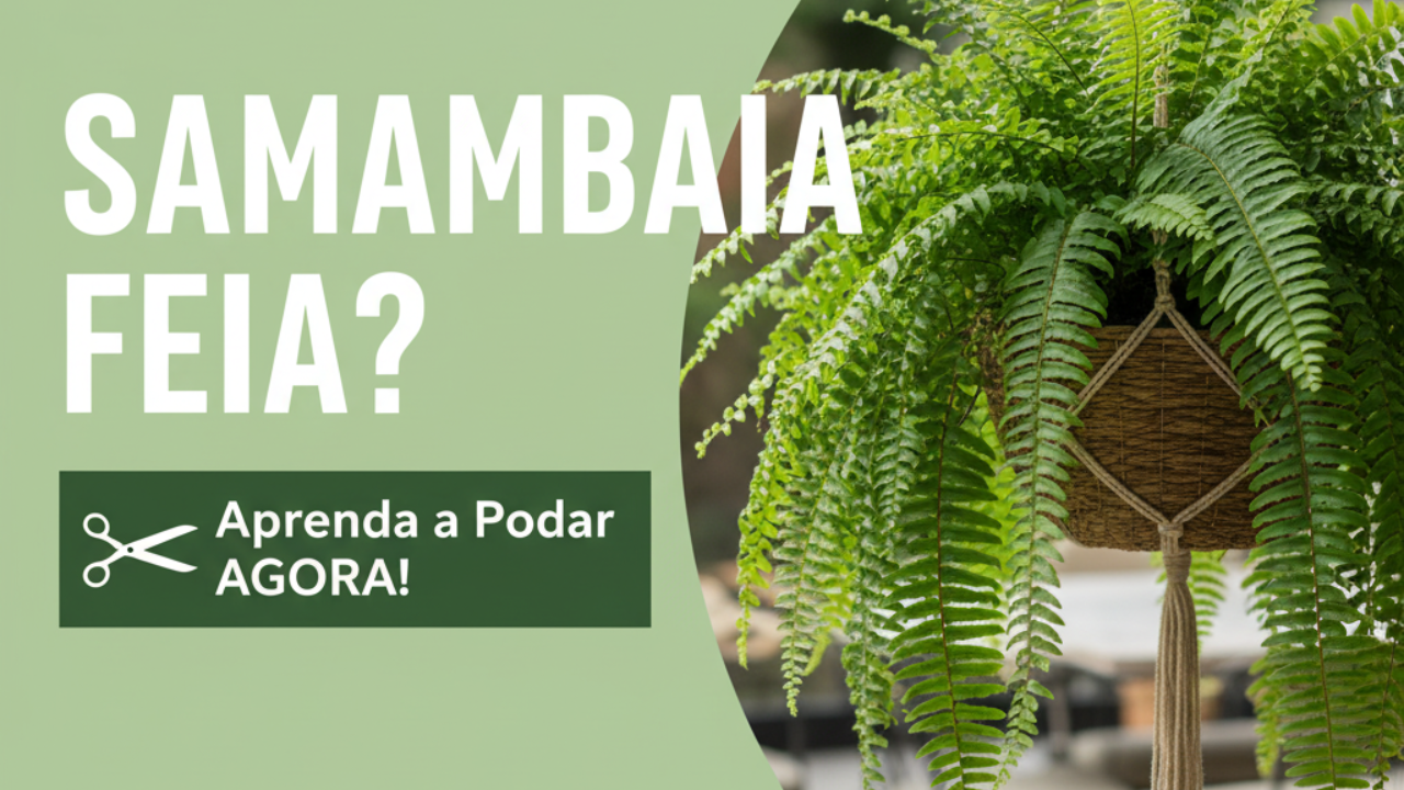 Como Podar Samambaia: O Guia para Renovar sua Planta