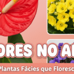 Composição com Violeta, Begônia e Lírio-da-paz, exemplos de plantas que dão flores em apartamento e se adaptam a pequenos espaços.