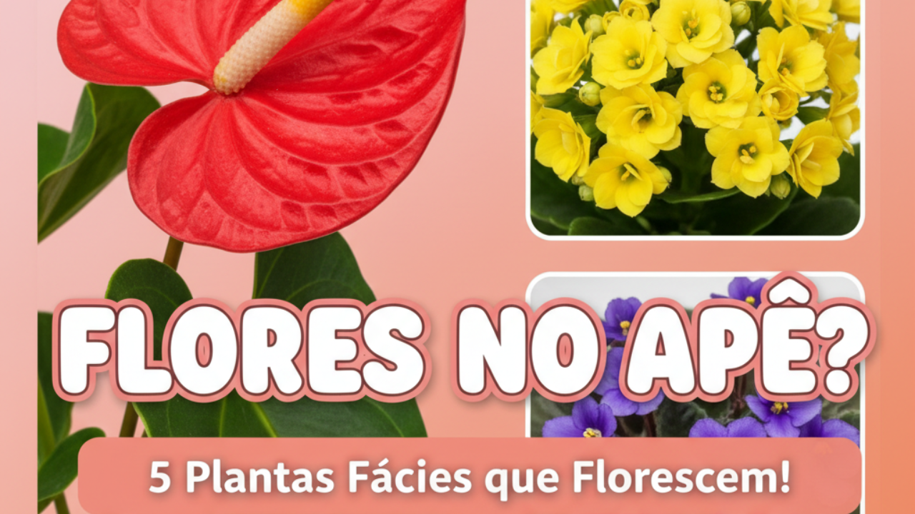 5 Plantas que Dão Flores em Apartamento e são Fáceis