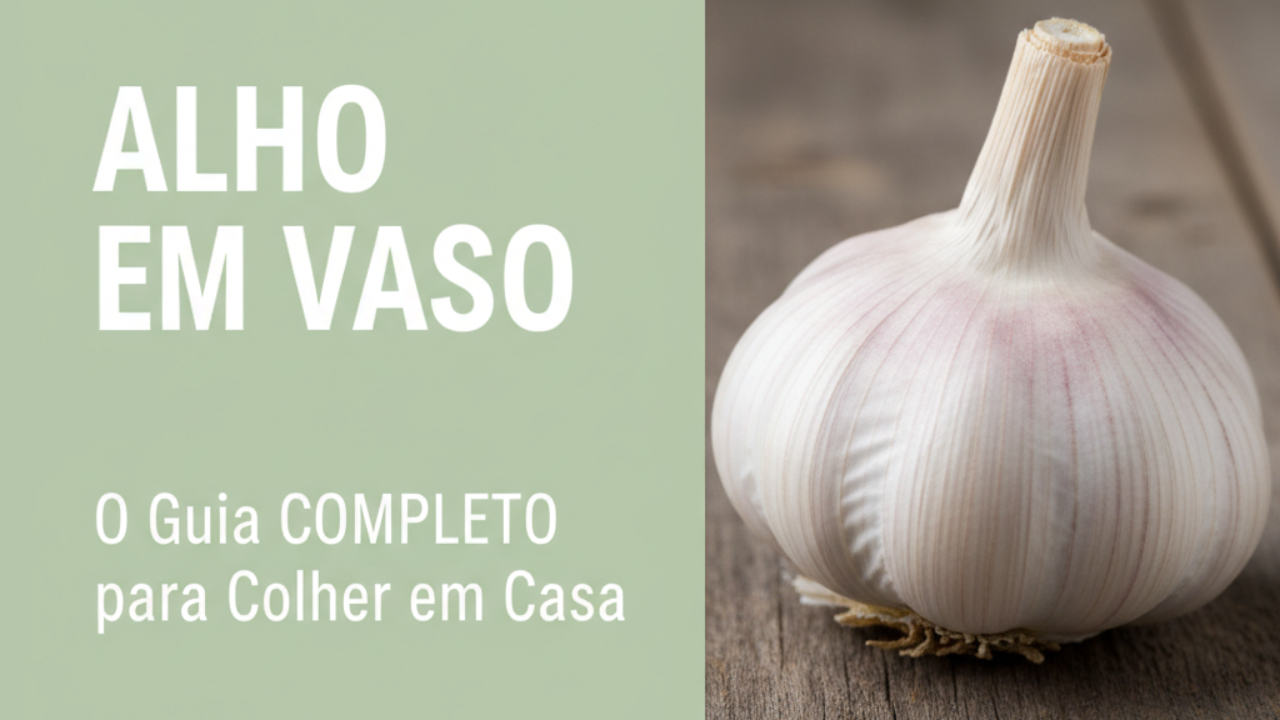 Thumbnail do artigo