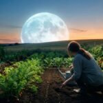 Jardinagem Lunar: Pessoa plantando sementes em horta sob luz da lua cheia ao entardecer